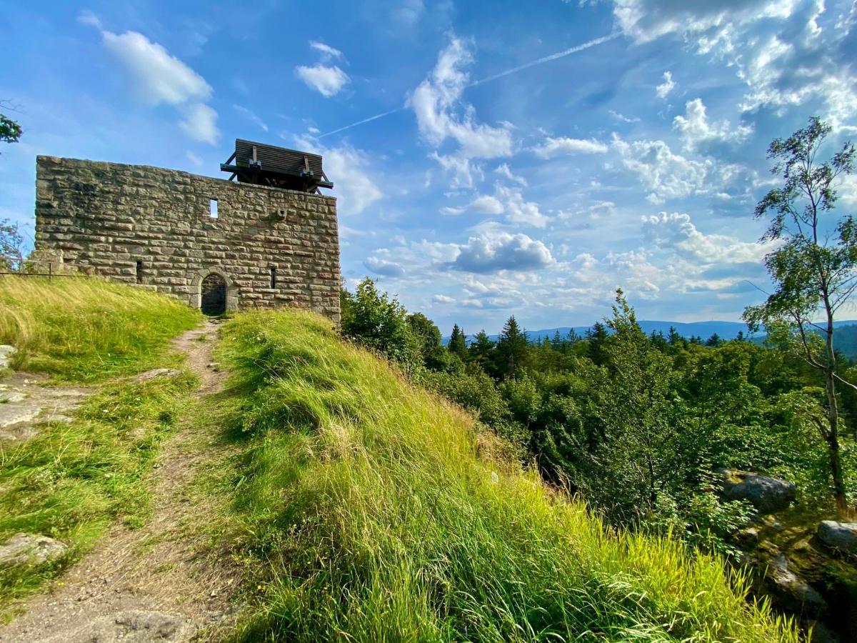 Ferienwohnung Oxana Im Naturpark Fichtelgebirge Schonwald  Ngoại thất bức ảnh