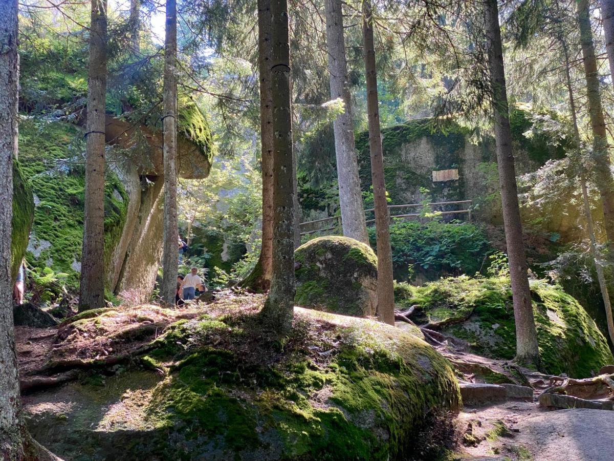 Ferienwohnung Oxana Im Naturpark Fichtelgebirge Schonwald  Ngoại thất bức ảnh