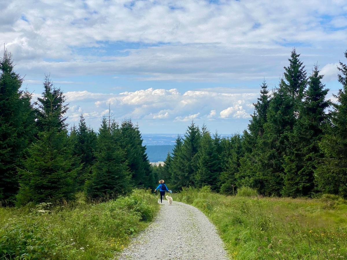 Ferienwohnung Oxana Im Naturpark Fichtelgebirge Schonwald  Ngoại thất bức ảnh