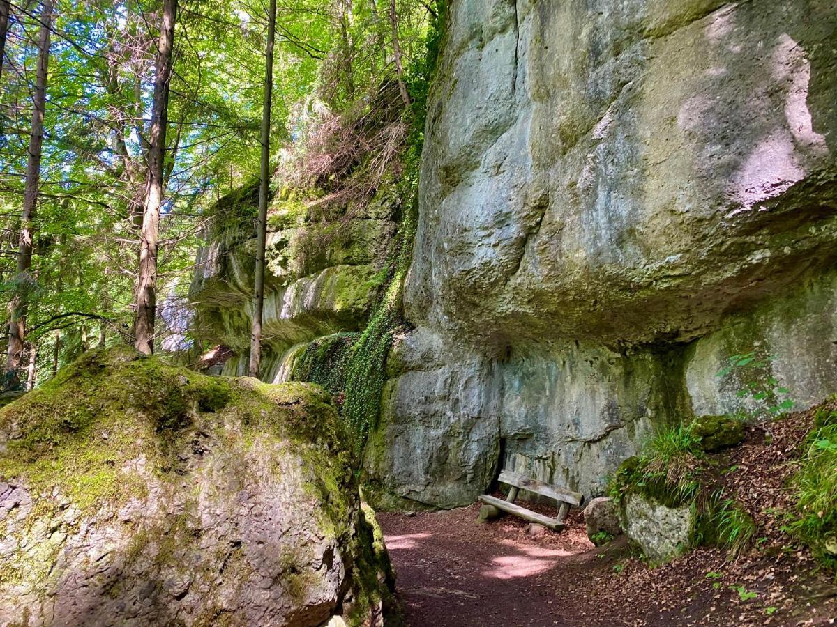 Ferienwohnung Oxana Im Naturpark Fichtelgebirge Schonwald  Ngoại thất bức ảnh