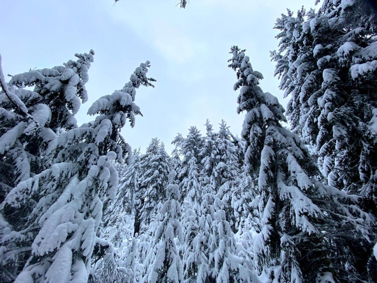 Ferienwohnung Oxana Im Naturpark Fichtelgebirge Schonwald  Ngoại thất bức ảnh