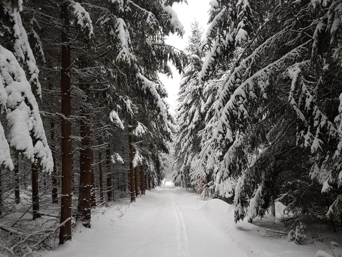 Ferienwohnung Oxana Im Naturpark Fichtelgebirge Schonwald  Ngoại thất bức ảnh