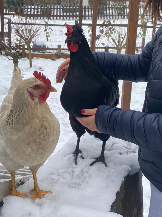 Ferienwohnung Oxana Im Naturpark Fichtelgebirge Schonwald  Ngoại thất bức ảnh